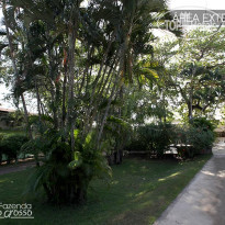 Fazenda Mato Grosso