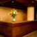 Rojas All Suite 