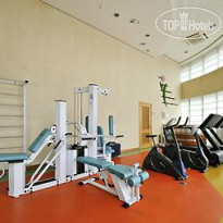Ibis Santo Andre