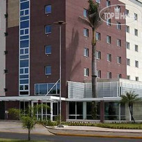 Ibis Lins 