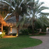 LD Palm Beach 