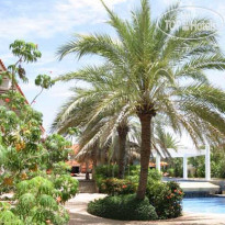 LD Palm Beach 