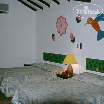 Paradise Coche