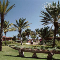 Paradise Coche