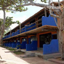 Ikin Margarita