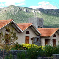 Collahua