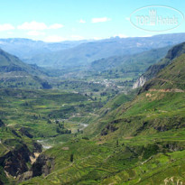 Collahua