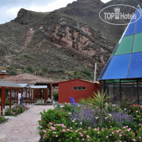 Royal Inka Pisac 