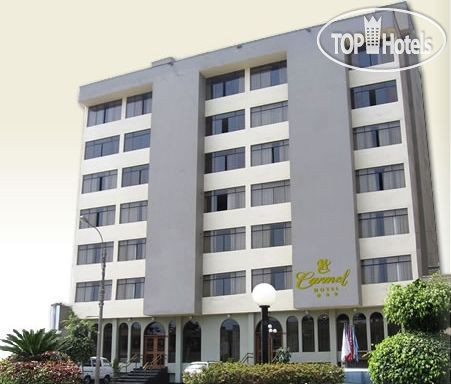 Hotel photo Carmel 3*