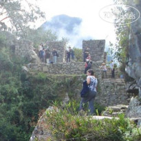 Machu Picchu Green Nature