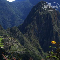 Machu Picchu Green Nature