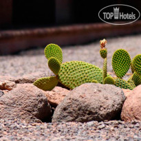 Nayara Alto Atacama Desert Lodge & Spa