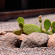 Nayara Alto Atacama Desert Lodge & Spa 