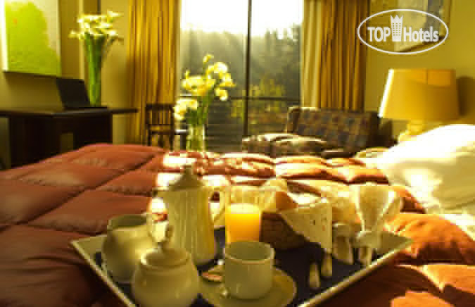 New photos from tourists Conference Town 4*