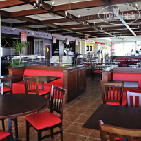 Ibis Concepcion 