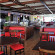 Ibis Concepcion 