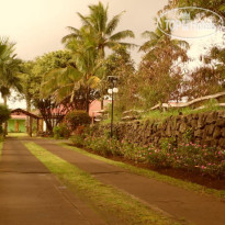 Manutara