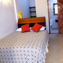 Galapagos Suites