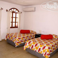 Galapagos Suites