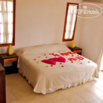 Galapagos Suites