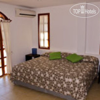 Galapagos Suites