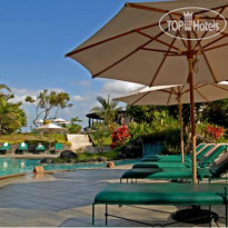 Royal Palm 