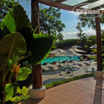 Royal Palm 