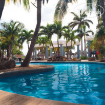 Divi Aruba Phoenix Beach Resort 