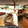 Holiday Inn Resort Aruba-Beach Resort & Casino 