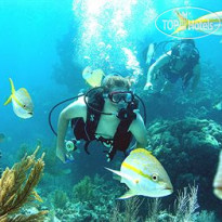 Abaco Beach Resort & Boat Harbour Marina
