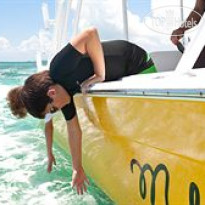 Abaco Beach Resort & Boat Harbour Marina