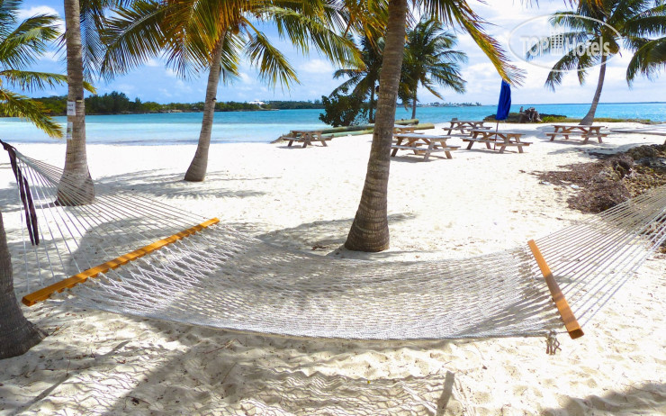 New photos from tourists Bluff House Beach Resort & Marina