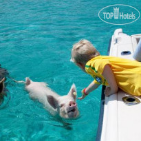 Fowl Cay Resort
