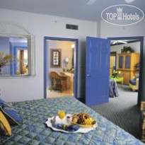 The Cove Atlantis