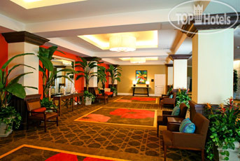 New photos from tourists Melia Nassau Beach 4*