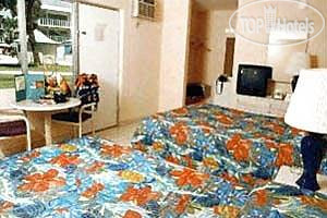 New photos from tourists Island Palm Resort 2*