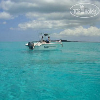 Tranquillity On The Bay Resort Подводное плавание