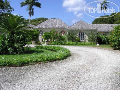 New photos from tourists Galena 