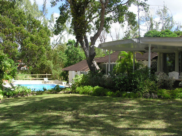 New photos from tourists Solandra 