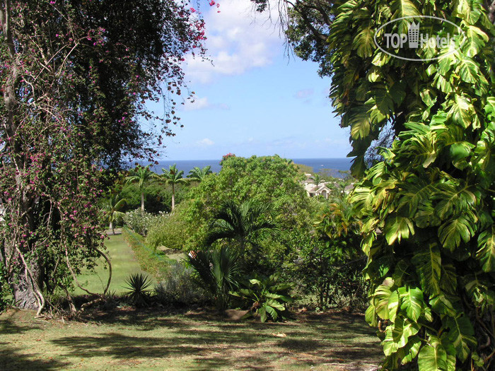 Hotel photo Solandra 