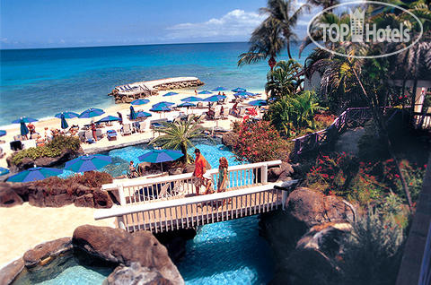 Hotelier's photos Crystal Cove 4*