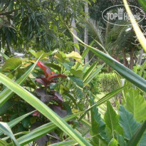 Legend Garden Condos 