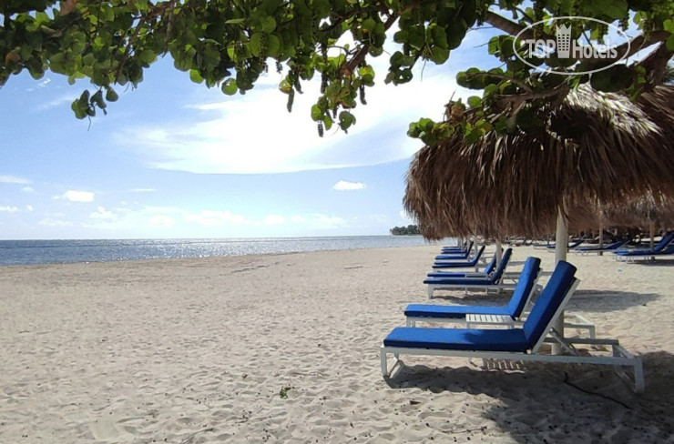 Пляж в Serenade Punta Cana Beach & Spa Resort 5*