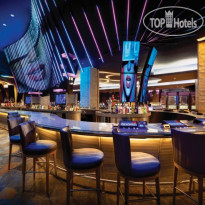 Hard Rock Hotel & Casino