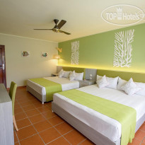 whala bavaro