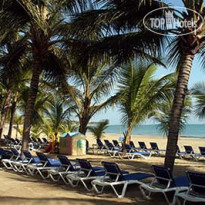 Tropical Beach 