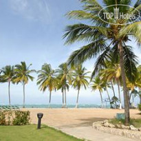 Paraiso Tropical
