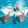 Cofresi Palm Beach & Spa Resort 