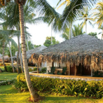 Viva Wyndham Dominicus Beach