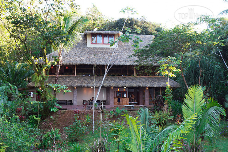 Hotel photo Copa de Arbol Beach and Rainforest Resort 